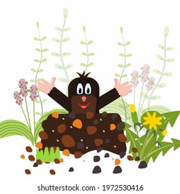 Cartoon Mole in a flower meadow . Vector illustration . For a children's magazine . For the development of creative children .