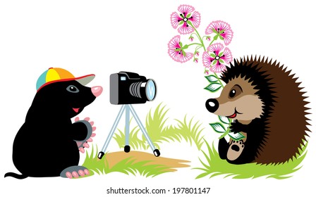 cartoon mole photographer taking photo of hedgehog, isolated image for little kids