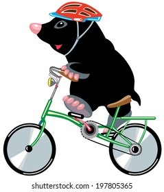 cycling mole