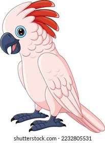 Cartoon Moluccan Cockatoo Parrot on White Background