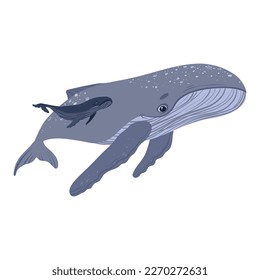 Cartoon mom and baby whales.  Underwater world, marine flora and fauna. Vector illustration of whales