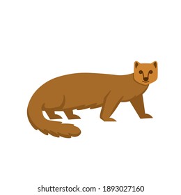 Cartoon mongoose on a white background.Flat cartoon illustration for kids.