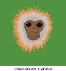 Cartoon Monkey