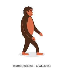 Cartoon monkey or ape standing or walking isolated on white background. Side view of jungle animal with brown fur. Wild gorilla - flat vector illustration