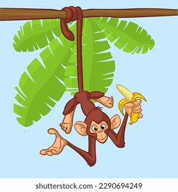 Cartoon monkey chimpanzee holding and eating banana. Vector illustration of happy monkey character design isolated.