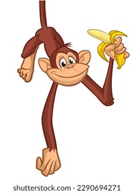 Cartoon monkey chimpanzee holding and eating banana.