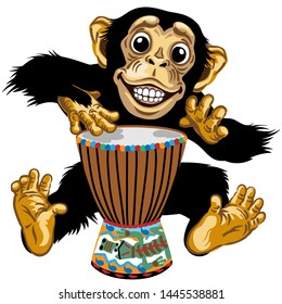 Cartoon monkey drummer. Happy chimp great ape or chimpanzee hands playing on the African ethnic percussion drum and smiling cheerful with a big smile on face showing teeth. Isolated vector illustratio