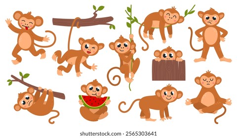 Cartoon monkey. Funny exotic monkeys, wild tropical animals with various emotions and poses. Primates eat, rest on vines, peek, classy vector characters