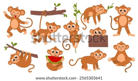 Cartoon monkey. Funny exotic monkeys, wild tropical animals with various emotions and poses. Primates eat, rest on vines, peek, classy vector characters