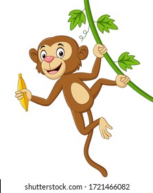 Cartoon monkey hanging and holds banana in tree branch