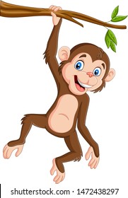 Cartoon monkey hanging in tree branch