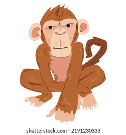 Cartoon monkey red color on white isolate. Squatting primate. Vector image of an animal in EPS.