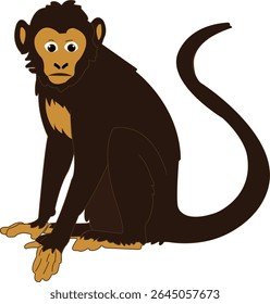 A cartoon monkey sits, featuring large eyes and a long curled tail with a curious expression.