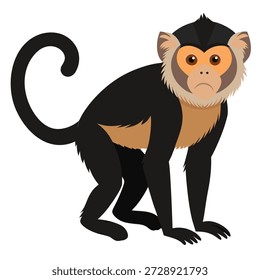Cartoon Monkey Vektorgrafik auf weißem Hintergrund