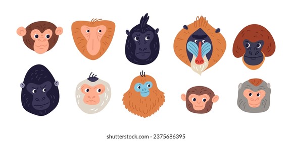 Cartoon monkeys heads. Different breeds funny primates. Exotic animals muzzles. Gorilla and gibbon. Wild mammals. Chimpanzee portraits. Orangutan and baboon face. Garish