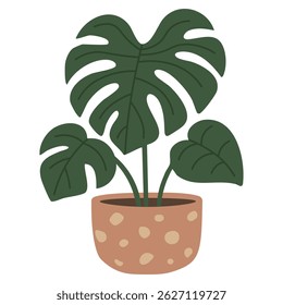 Cartoon monstera plant in a decorative pot, drawn in flat vector style, isolated on white.