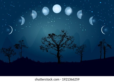 Cartoon moon phases. Whole cycle from new moon to full. Lunar cycle change. New, waxing, quarter, crescent, half, full, waning, eclipse. Space of cosmos. Night sky and landscape with trees. Vector