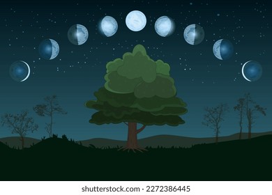 Cartoon moon phases. Whole cycle from new moon to full. Lunar cycle change. New, waxing, quarter, crescent, half, full, waning, eclipse. Space of cosmos. Night sky and landscape with trees. Vector