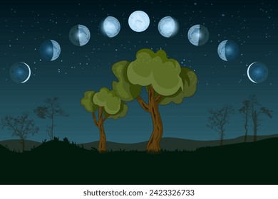 Cartoon moon phases. Whole cycle from new moon to full. Lunar cycle change. New, waxing, quarter, crescent, half, full, waning, eclipse. Space of cosmos. Night sky and landscape with trees. Vector