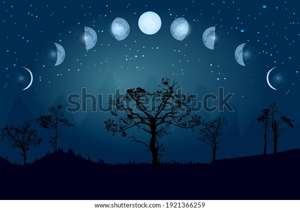 Cartoon moon phases. Whole cycle from new moon to\
full. Lunar cycle change. New, waxing, quarter, crescent, half,\
full, waning, eclipse. Space of cosmos. Night sky and landscape\
with trees. Vector