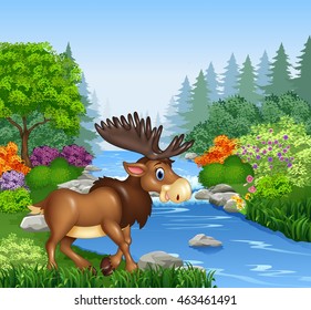 Cartoon moose in Beautiful river in forest