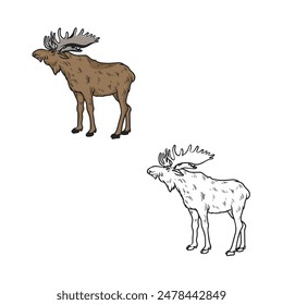 Cartoon moose drawing with line art style. Isolated on white background. Simple design outline style. Vector illustration