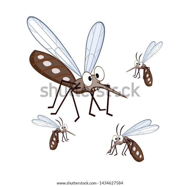 Cartoon Mosquito Aedes Aegypti White Background Stock Vector (Royalty ...