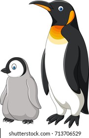 Cartoon mother and baby penguin isolated on white background