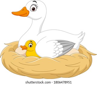 Cartoon mother duck with her baby in the nest