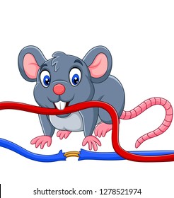 Cartoon Mouse Biting The Cable