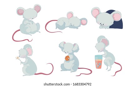 Cartoon Mouse Character with Long Pink Tail Holding Cheese Slab and Sleeping Vector Set