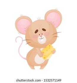 Cartoon mouse is holding a small piece of cheese. Vector illustration.