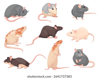 Cartoon mouse poses. Cute mise set, laboratory rat wild brown mouses eating cheese, little rodent domestic pet character house pest creature sitting pose, neat vector illustration original artwork