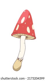 Cartoon mushroom fly agaric. Simple vector illustration in cartoon style isolated on white background.