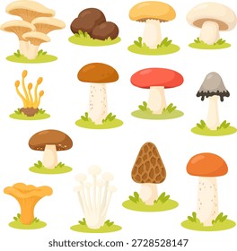 Conjunto de ilustração de cogumelo de desenhos animados com diferentes coleções de fungos florestais para design de alimentos, educação infantil, projetos de culinária, temas da natureza. Coleção de ilustração de cogumelos