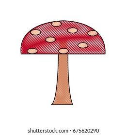 cartoon mushroom nature botanical icon