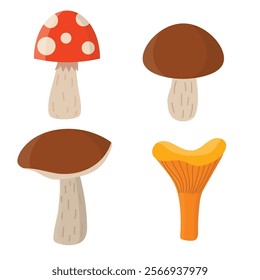 Cartoon mushroom set in flat style isolated on white background. Сhanterelle mushroom, porcini mushroom, champignon, fly agaric.