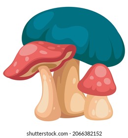 cartoon mushroom. Set of isolated vector illustrations of forest wild mushrooms.
