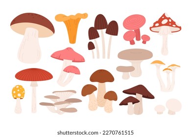 Cartoon mushrooms, autumn mushrooms wild harvest. Forest isolated organic raw, amanita and shiitake. Food and decorative, racy vector clipart