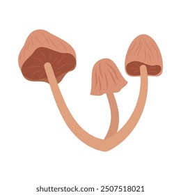 Cartoon mushrooms flat illustration isolated on white background. Forest. autumn and spring. Organic nature