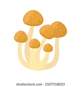 Cartoon mushrooms flat illustration isolated on white background. Forest. autumn and spring. Organic nature