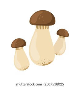 Cartoon mushrooms flat illustration isolated on white background. Forest. autumn and spring. Organic nature