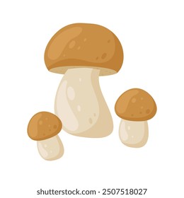 Cartoon mushrooms flat illustration isolated on white background. Forest. autumn and spring. Organic nature
