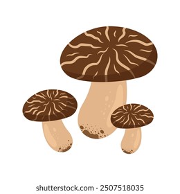 Cartoon mushrooms flat illustration isolated on white background. Forest. autumn and spring. Organic nature