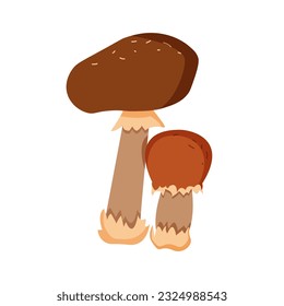 Cartoon mushrooms. Forest wild mushrooms. Vector illustration