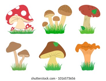Cartoon mushrooms in grass with leaves. Different mushrooms isolated on white background. Vector illustration