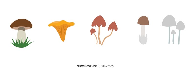 Cartoon mushrooms. Poisonous and edible mushroom, chanterelle, cep, amanita and truffle isolated vector illustration set. Forest wild mushrooms types. Organic porcini and chanterelle, poisonous fungus