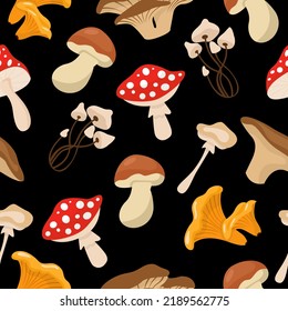 Cartoon mushrooms. Poisonous and edible mushroom, chanterelle, cep, amanita isolated vector illustration seamles pattern. Forest wild mushrooms types. Organic porcini, poisonous fungus concept