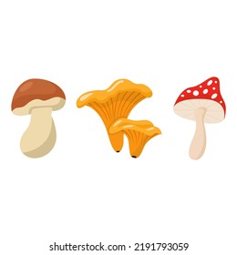 Cartoon mushrooms. Poisonous and edible mushroom, chanterelle, cep, amanita isolated vector illustration set. Forest wild mushrooms types. Organic porcini and chanterelle, poisonous fungus concept