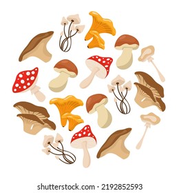 Cartoon mushrooms. Poisonous and edible mushroom, chanterelle, cep, amanita isolated vector illustration set. Forest wild mushrooms types. Organic porcini and chanterelle, poisonous fungus concept
